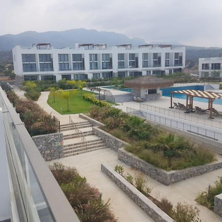 Beachfront Penthouse Studio Apartment, Eco Wellness Resort, Heated Pool キレニア エクステリア 写真